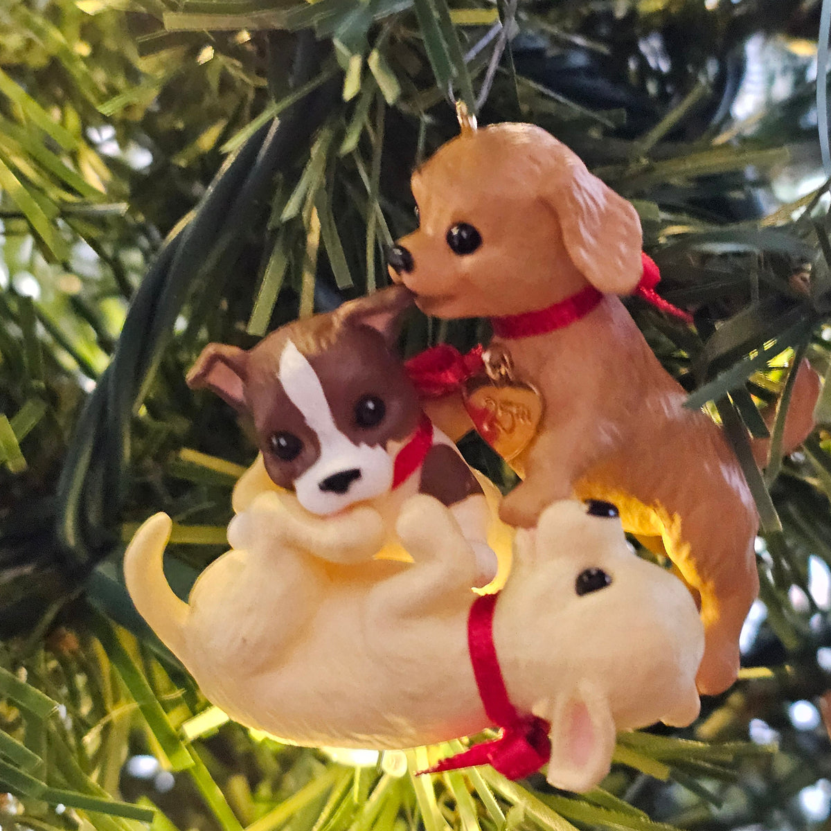 Puppy Love 25th Anniversary