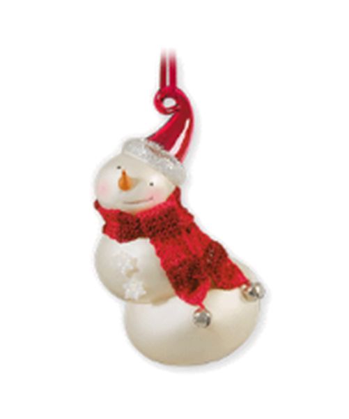 Aunt Krismas 'What's Snowing On?' ornament by Terri Steiger. Year: 2010 - N/A series #0. 'Mint In Box' condition.